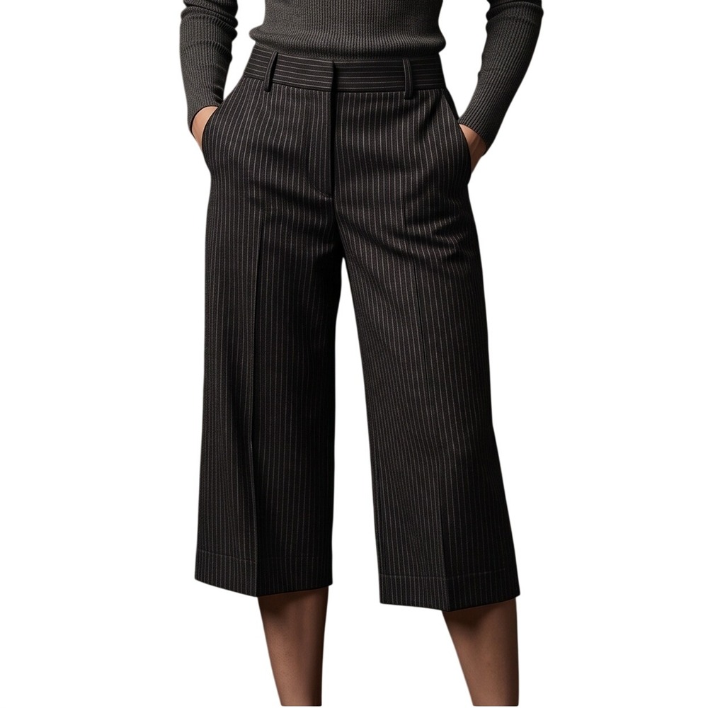EXPRESS Design Studio Editor Pinstripe Gaucho Pants Gray Wide Leg Crop 4 Y2K
